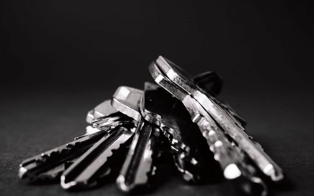 Moving House: Packing Tips