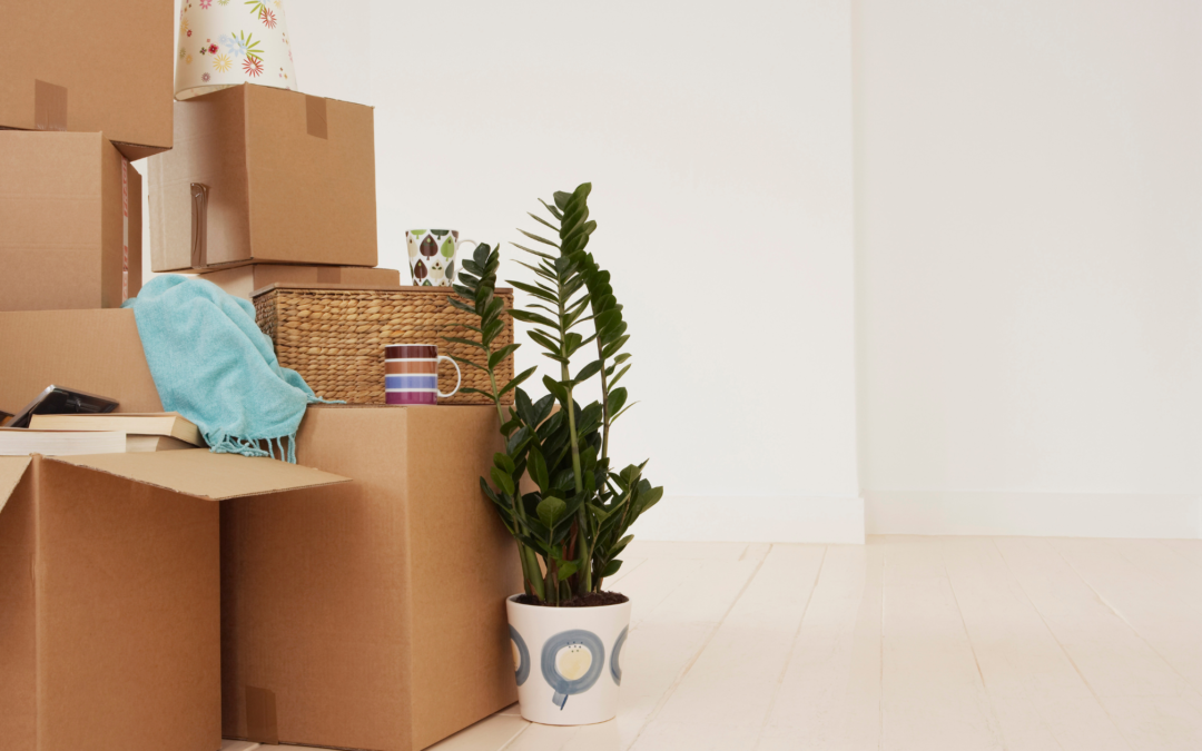 Sustainable Packaging Materials For Your Move