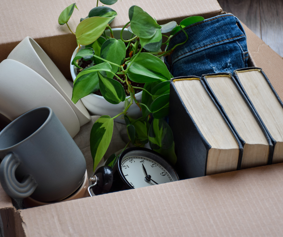 Packing Box with Books and Plant packing box with plant books and mugs